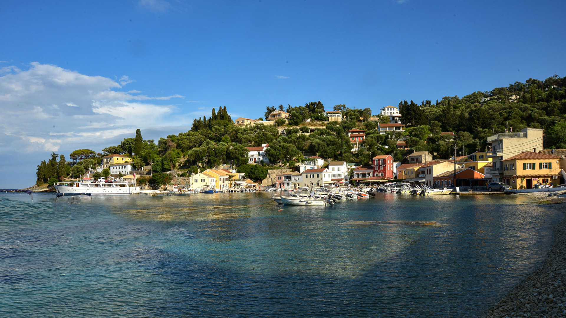 loggos